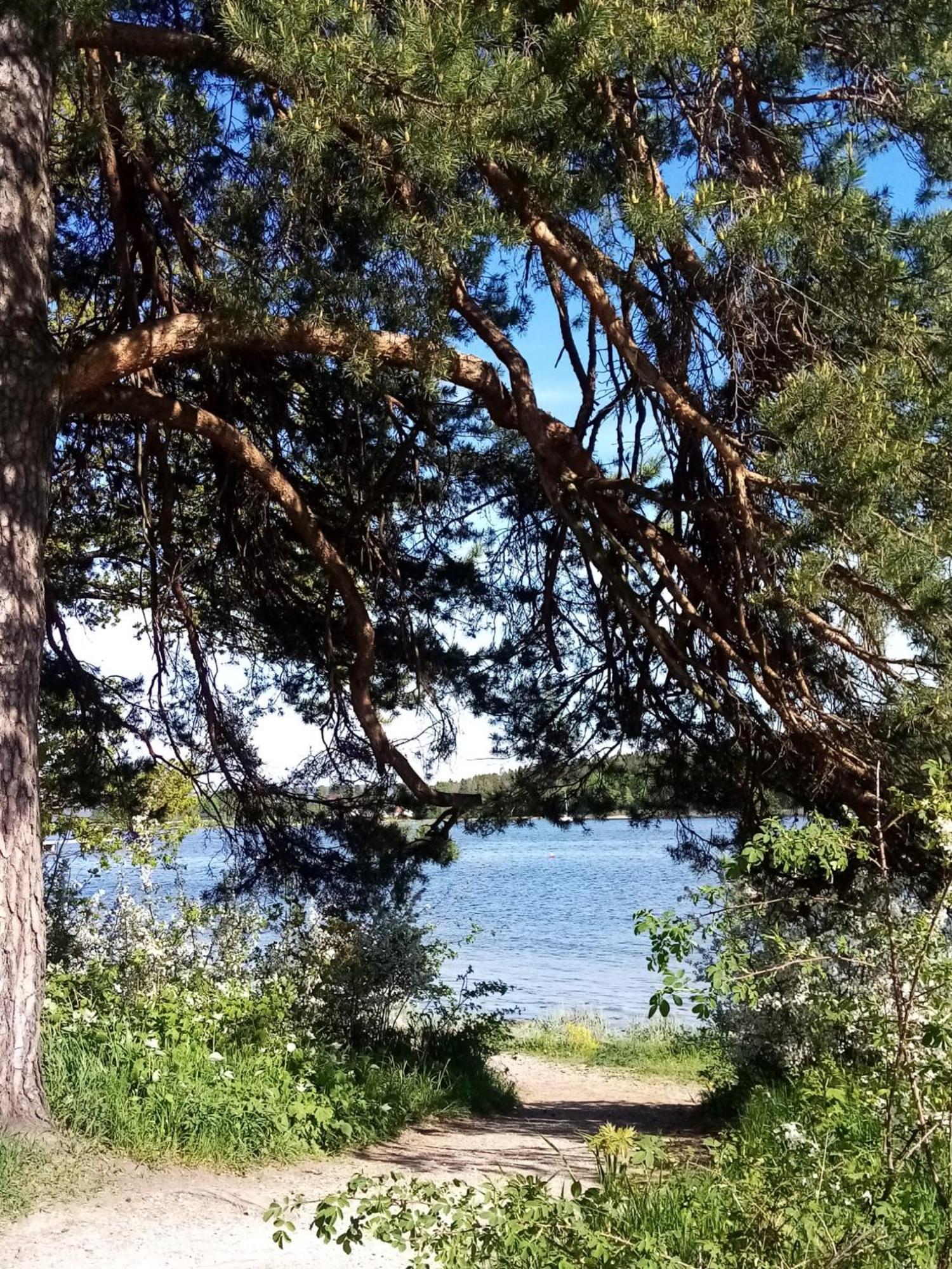 Apartamento La Casa Marrone Norway Asker Exterior foto